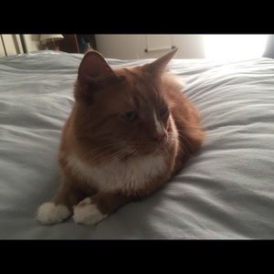 Meet your Posher, Daniel